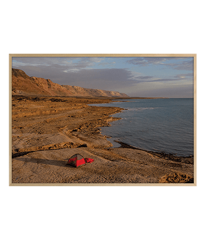 REEF_24